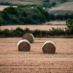 Biltegi Etxea * Alda