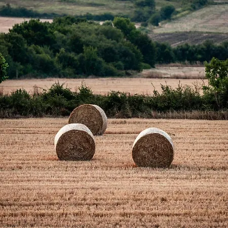 Biltegi Etxea * Alda