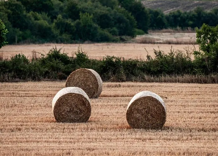Biltegi Etxea * Alda